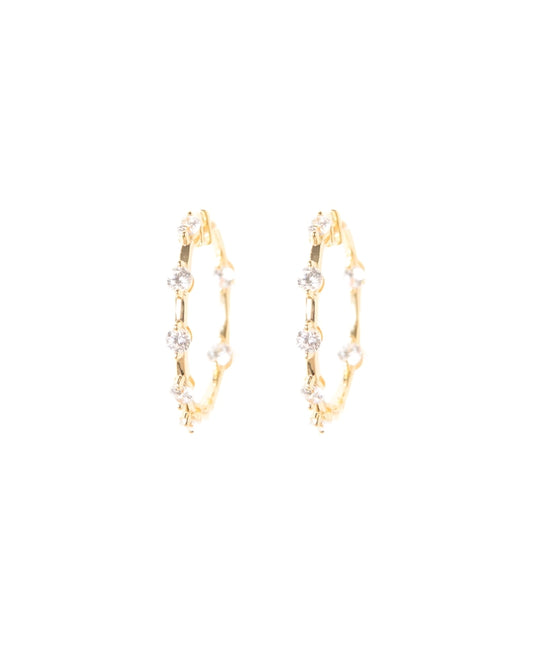 Vanesa Earrings