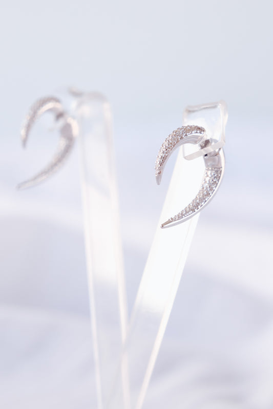 Punky CZ silver color earring